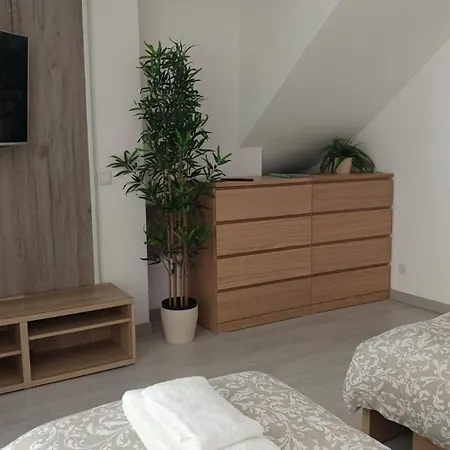 Apartament Waters House *